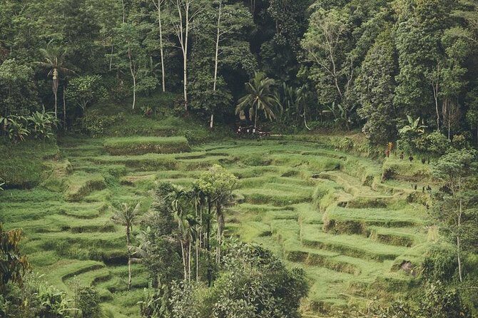 Jatiluwih UNESCO site and Ulundanu - Breaking Down the Itinerary: What Makes Each Stop Special