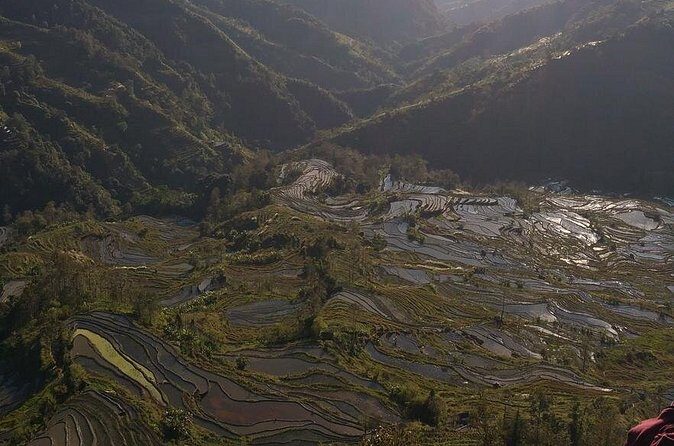 Jatiluwih UNESCO site and Ulundanu - FAQs
