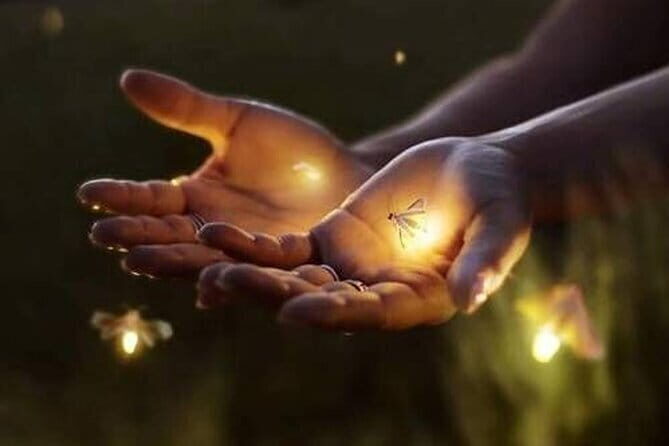 Jatiluwih's Rice Field Terraces: A Scenic Self-Guided Audio Tour - Who Should Consider This Tour?