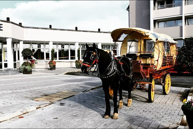 jaunting-car-tour-in-killarney-national-park