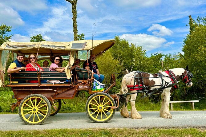 jaunting-car-tour-in-killarney-national-park