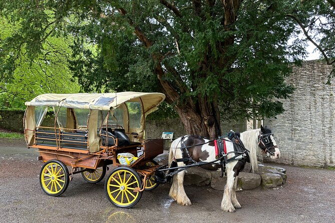 jaunting-car-tour-in-killarney-national-park