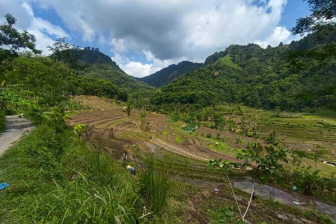 Java Village and Temple Tour from Borobudur - FAQ