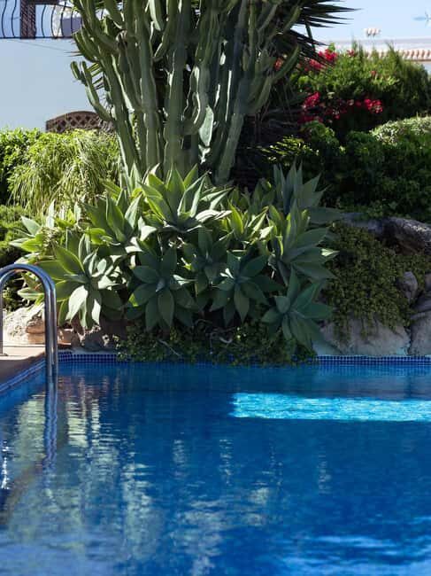 Jávea: 19/09 - Yoga & Brunch with Coffee/Tea, Juice & Cava - FAQ
