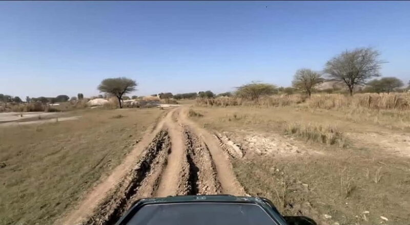 Jawai Leopard Safari 4x4 Gypsy Adventure with Guide - Key Points