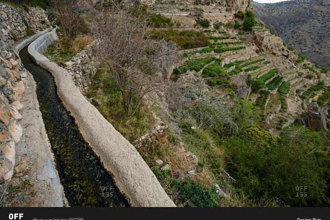 Jebal Akhdar And Nizwa Cool And Green - Exploring Oman’s Green Mountain and Historic Nizwa: A Complete Review of the Jebel Akhdar and Nizwa Tour