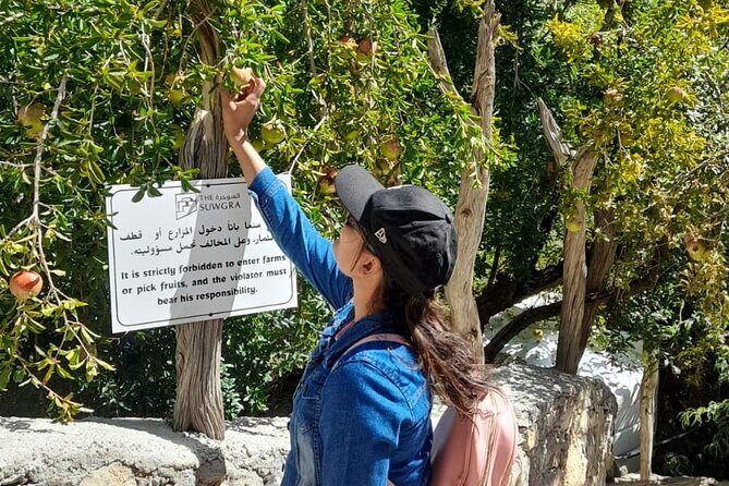 Jebel Akhdar Al Suwjara - Birkat Al Mouz Ruins - Private Full Day Tour - A Complete Look at the Tour Experience