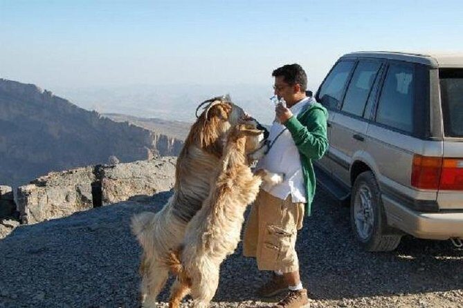 Jebel Shams Day Trip: The Grand Canyon of Oman - The Itinerary in Detail