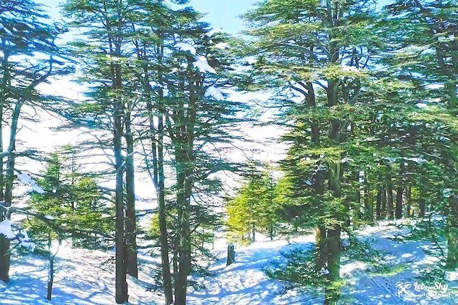 Jebran Museum, Becharre Cedars and Monastery of St. Antonio Qozhaya - The Itinerary in Depth
