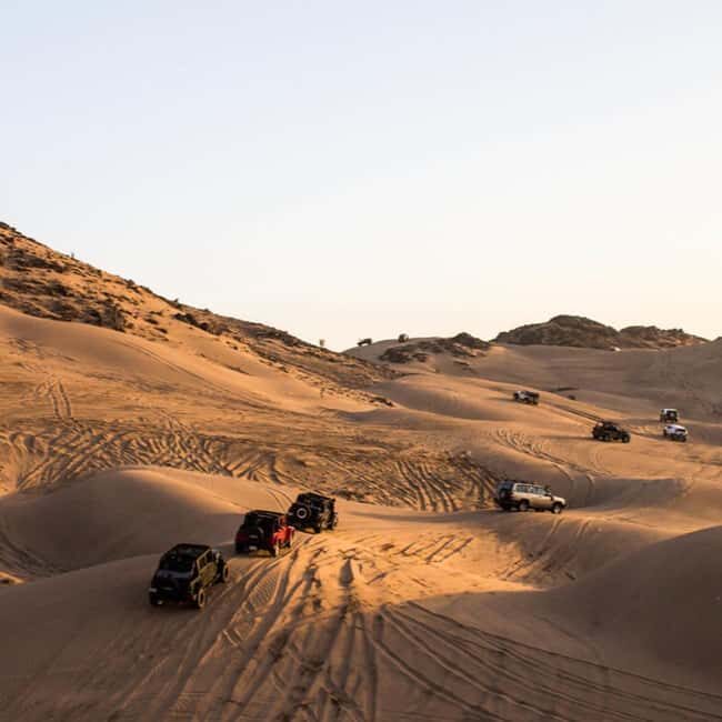 Jeddah: Quad Bike Ride, Bedouin Herd, and Desert Farm Tour - Key Points