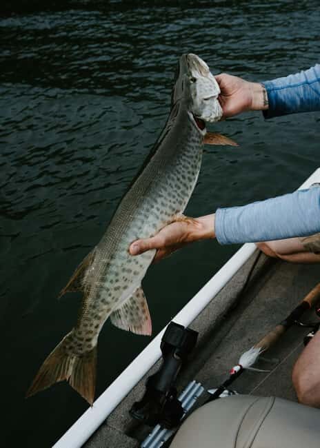 Jeddah: Sport Fishing Trip - FAQ