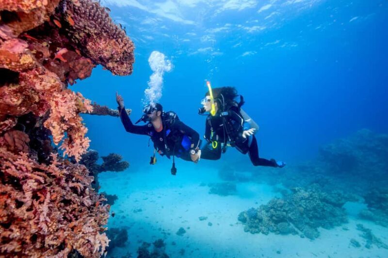 Jeddah's Oceanic Wonders: Dive into the Red Sea - Key Points
