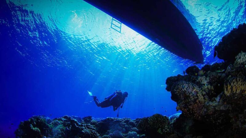 Jeddah's Oceanic Wonders: Dive into the Red Sea - What to Expect from the Experience