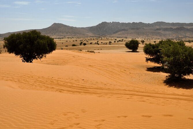 Jeep 4x4 Safari Atlantic Ocean & Desert Dunes with Berber Lunch - Key Points
