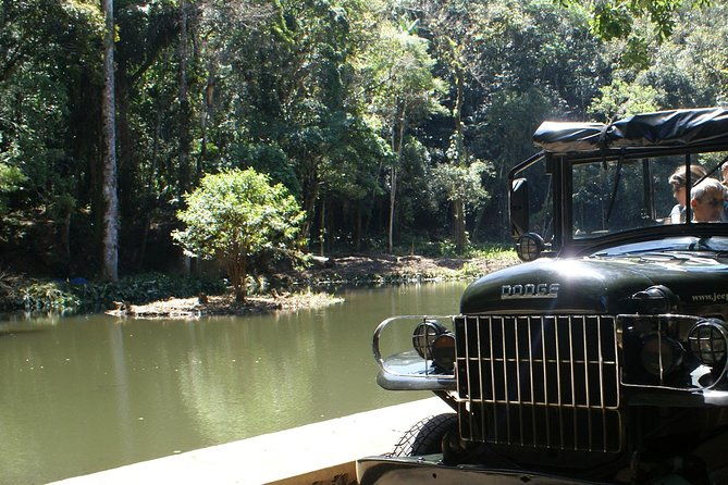 jeep-adventure-guided-tour-through-tijuca-rain-forest