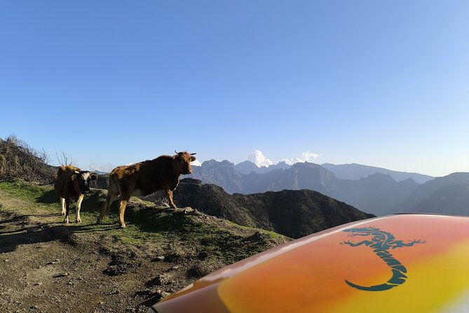 jeep-adventure-to-volcanic-pools-unesco-forest-treasures