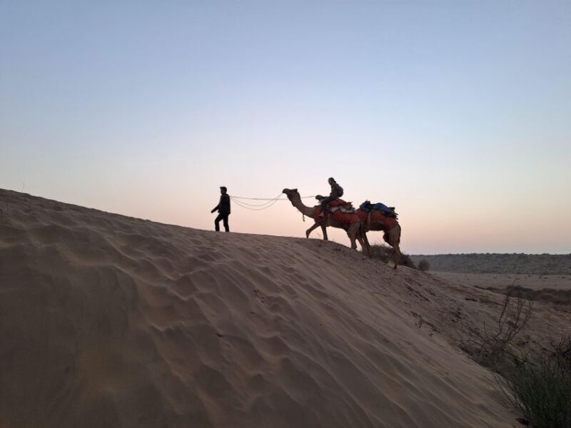 Jeep & Camel Ride, Musical Evening in The Desert Luxury Camp - What’s Included & What to Consider