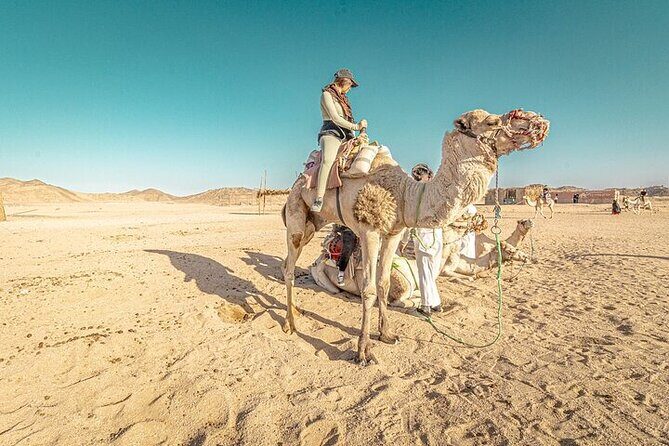 Jeep Cruise Stargazing with Horse Riding & BBQ Dinner - Hurghada - Who Will Love This Tour?