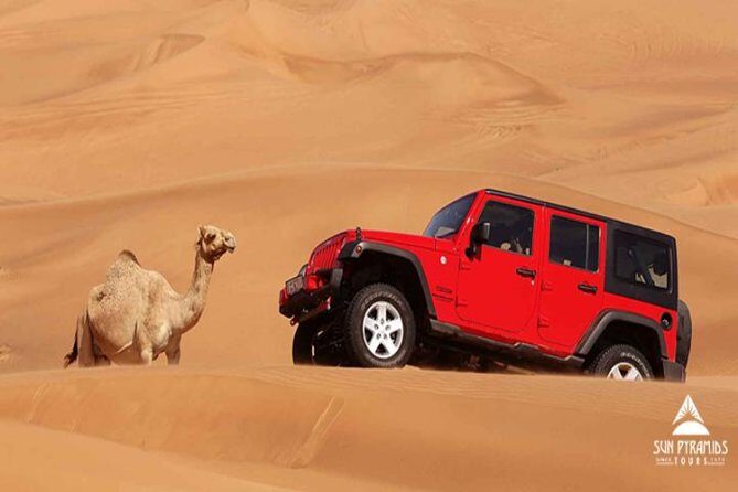 Jeep Desert Super Safari, Quad Bike, Camel Ride, Star Watching & Bedouin Dinner - Key Points
