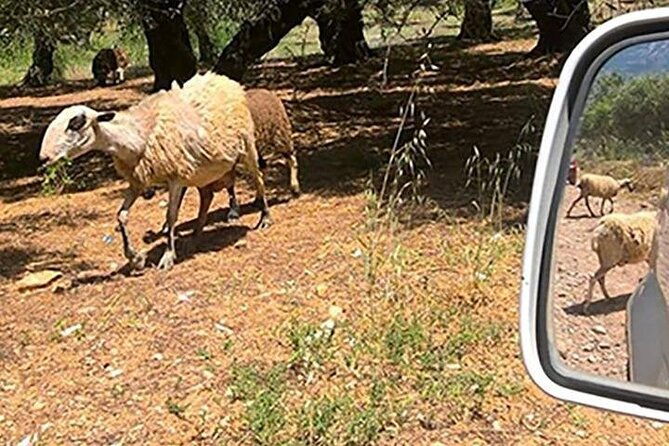 jeep-safari-4x4-crete-real-off-road-mountain-tracks-with-lunch-from-hersonissos