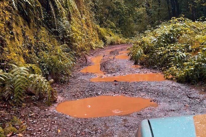 jeep-safari-4x4-madeira-pico-areeiro-santana-ponta-sao-lourenco