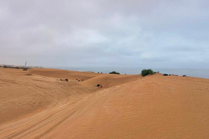 Jeep safari 4x4 mini sahara desert with Berber Lunch - Who Would Love This Tour?