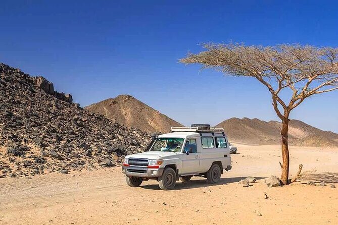 Jeep Safari Adventure Desert With Dinner And Show In Marsa Alam - Key Points