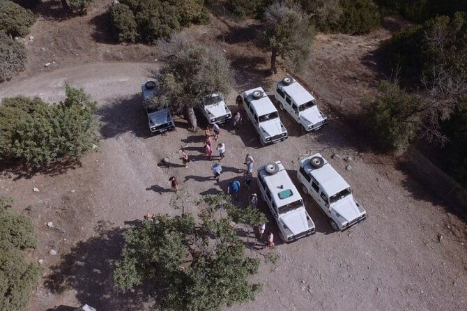 jeep-safari-akamas-from-paphos