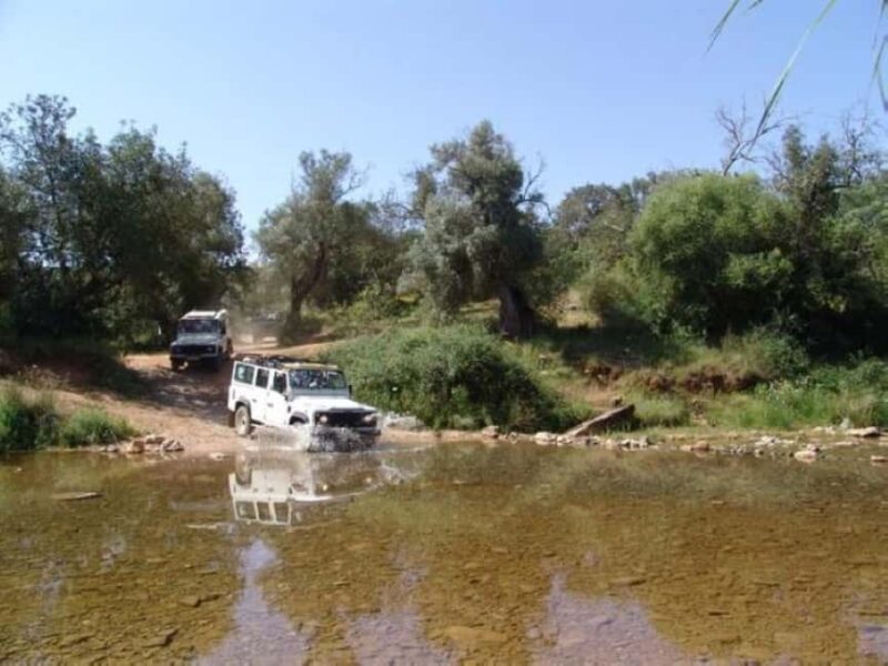 Jeep Safari & Benagil Boat Tour - Jeep Safari & Benagil Boat Tour: A Perfect Blend of Land and Sea Adventures in Algarve