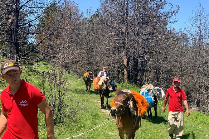 jeep-safari-berat-hiking-caravan-mule-in-tomori-holy-mount