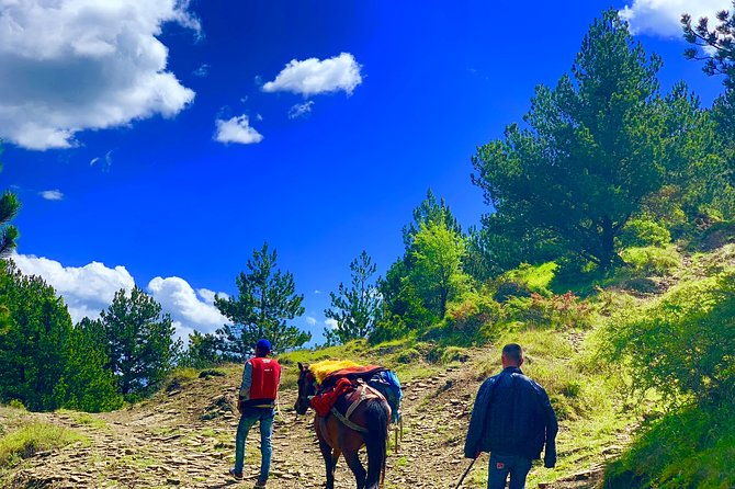 jeep-safari-berat-hiking-caravan-mule-in-tomori-holy-mount