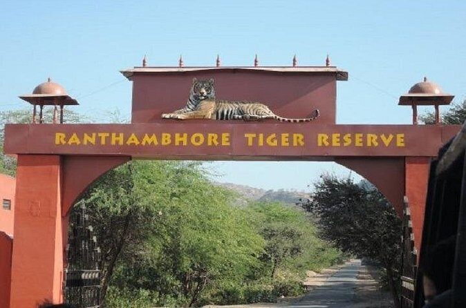 Jeep Safari Experience at Ranthambore National Park from Jaipur - FAQ