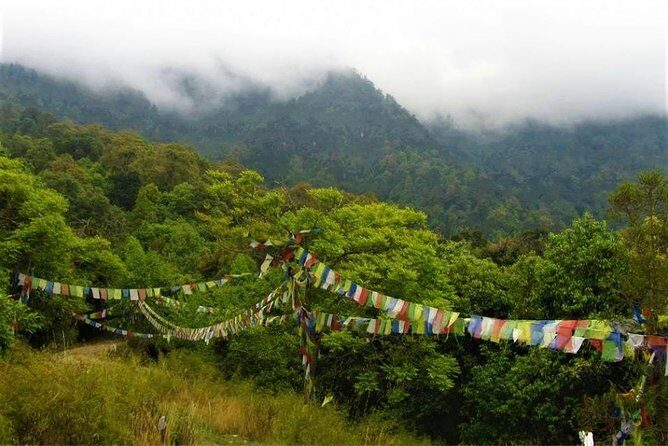 Jeep Safari in Nagarjun forest at Kathmandu - Frequently Asked Questions