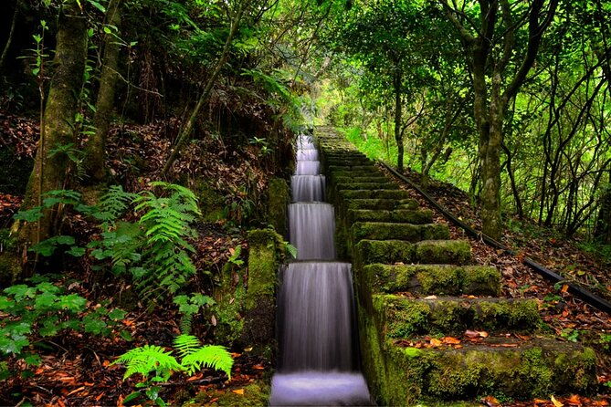 jeep-safari-in-pico-areeiro-santana-faial-full-day-tour