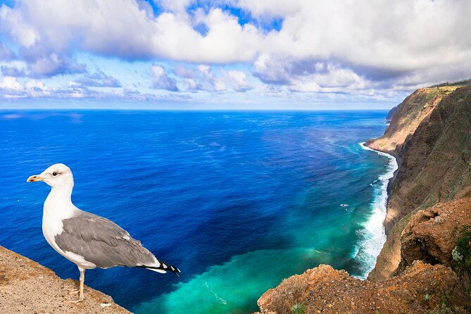 jeep-safari-in-southwest-calheta-and-ponta-do-sol-full-day-tour