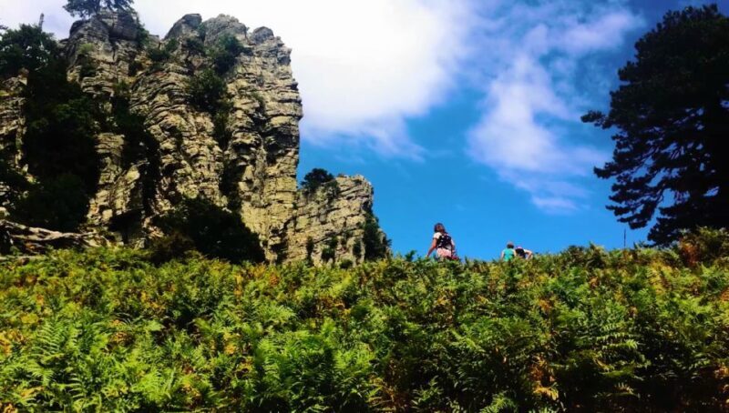 Jeep Safari in Thassos Mountain with picnic fruits & wine - Key Points