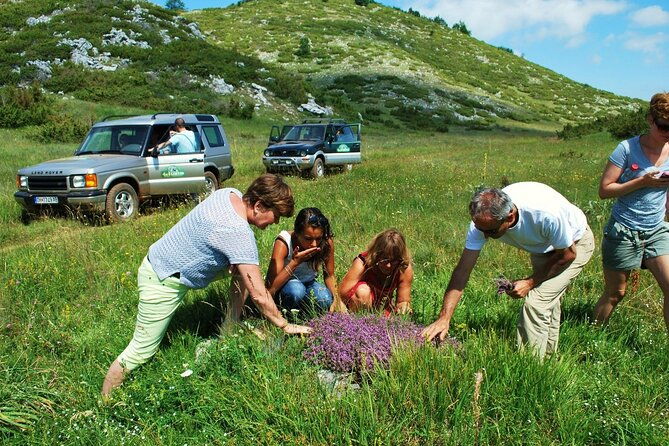 jeep-safari-national-park-galicica