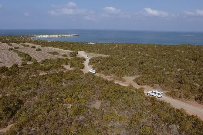 jeep-safari-to-akamas-from-limassol