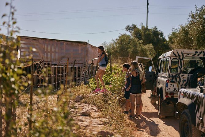Jeep Safari Tour - Full Day - Price and Value