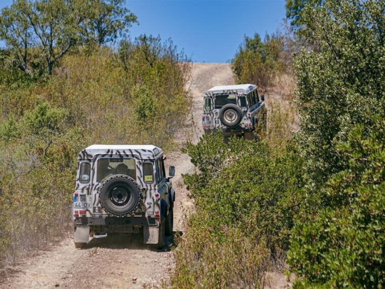 jeep-safari-tour-full-day