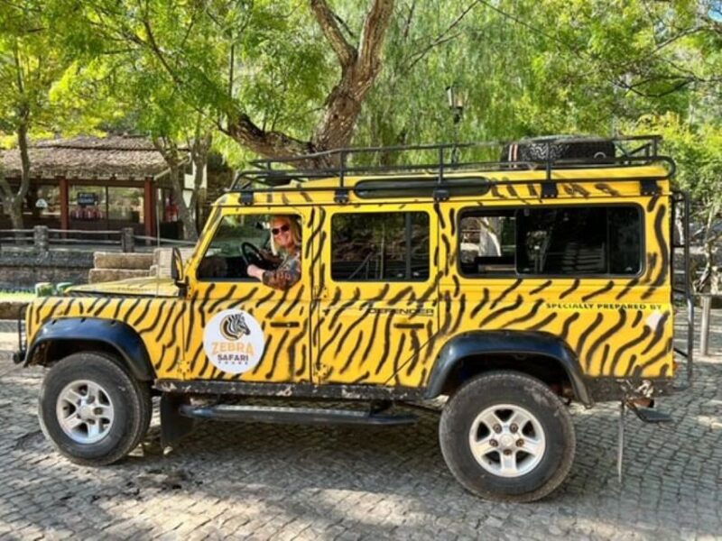 jeep-safari-tours-half-day