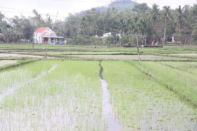 Jeep Tour Danang to Hai Van Pass Lunch Lang Co Beach & Waterfall - Who Is This Tour Best For?