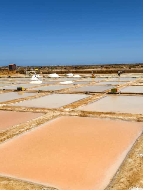 Jeep Tour - Fuzeta, Olhão & Mud and Salt Bath - Is This Tour Worth the Price?