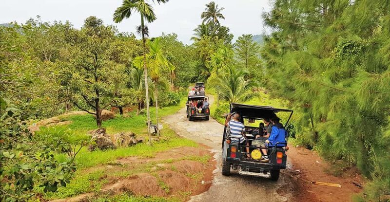 Jeep Tour Koh Samui Jungle Safari Full Day Adventure - Exploring Koh Samui with the Jeep Jungle Safari: A Balanced Look