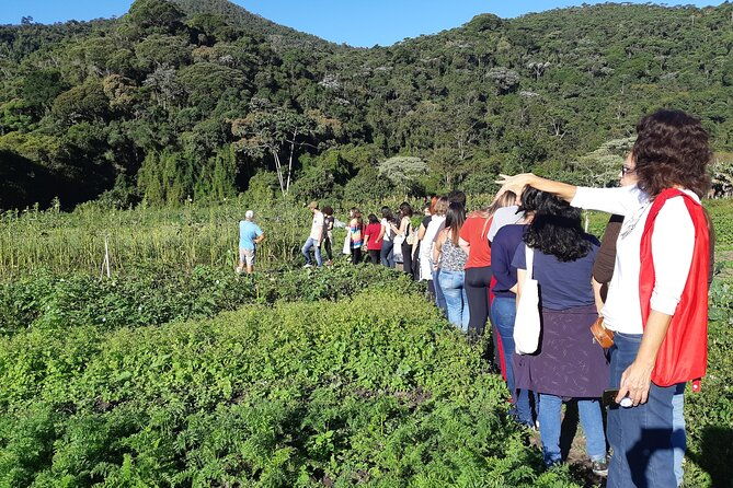 jeep-tour-petropolis-rj-ecotourism-waterfall-and-tastings