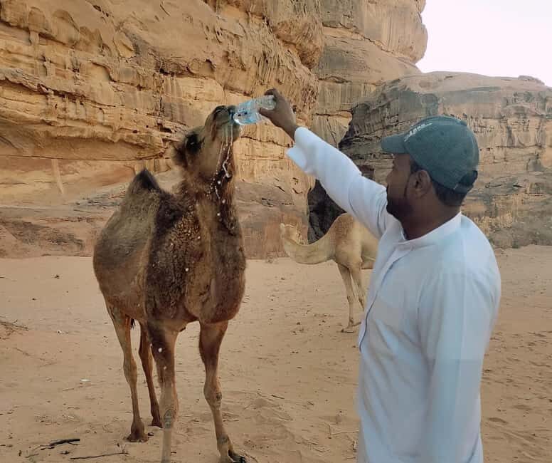 Jeep Tour - Exploring the 2-Hour Jeep Tour: Quick but Memorable
