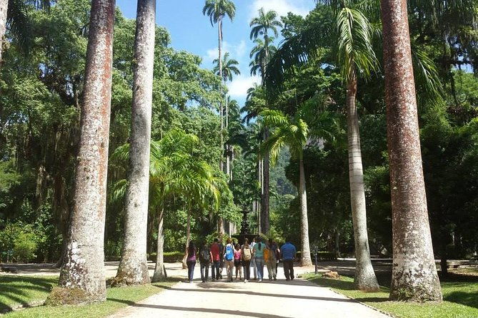 jeep-tour-to-botanical-garden-and-tijuca-rainforest