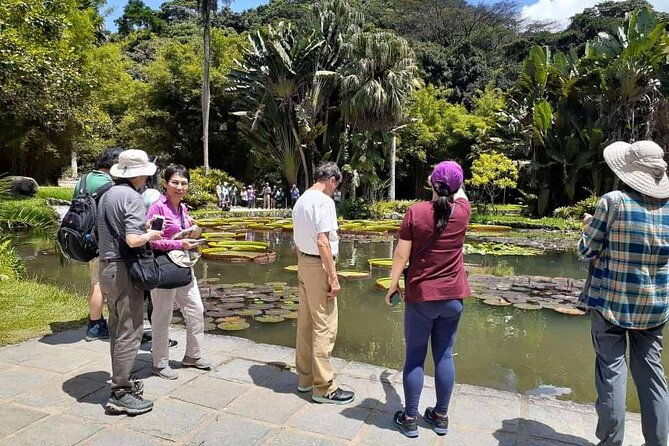 jeep-tour-to-botanical-garden-and-tijuca-rainforest
