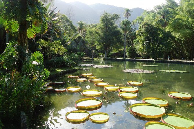jeep-tour-to-botanical-garden-and-tijuca-rainforest