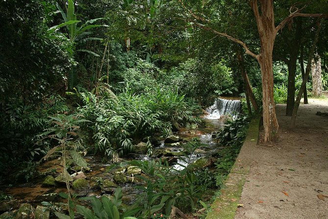 jeep-tour-to-botanical-garden-and-tijuca-rainforest